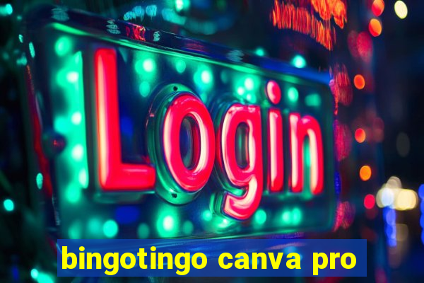 bingotingo canva pro